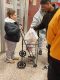 Turkey Giveaway